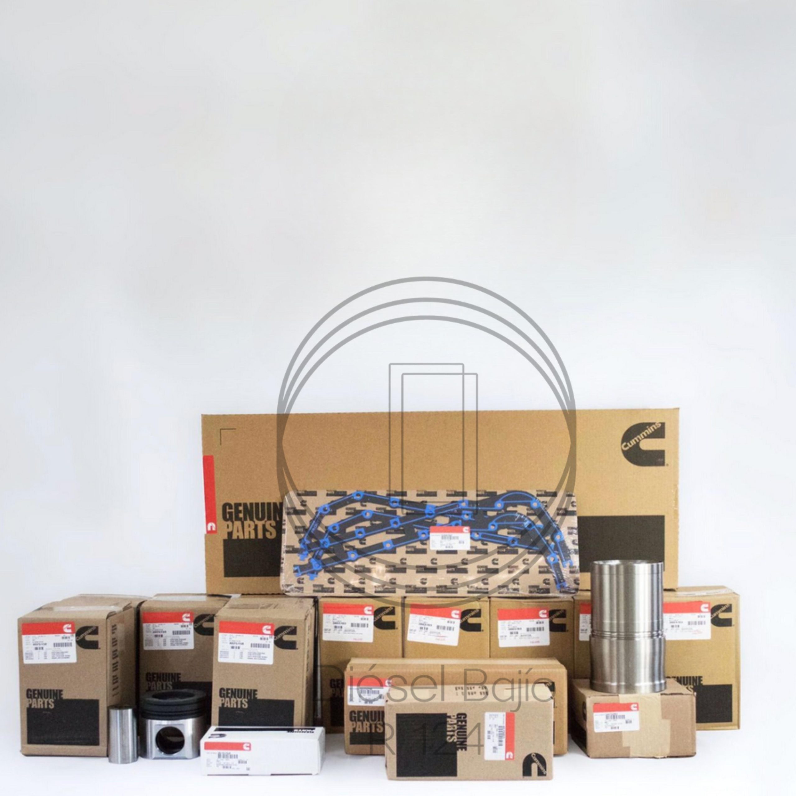 Media Reparacion ISX S/EGR 150mm (Pro)